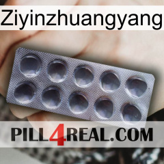 Ziyinzhuangyang 30